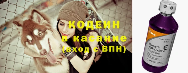 индика Кинешма