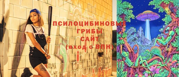 не бодяженный Козельск