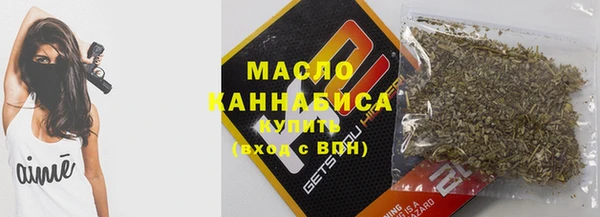 индика Кинешма
