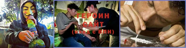 индика Кинешма