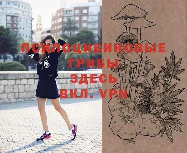 синтетический гашиш Киреевск