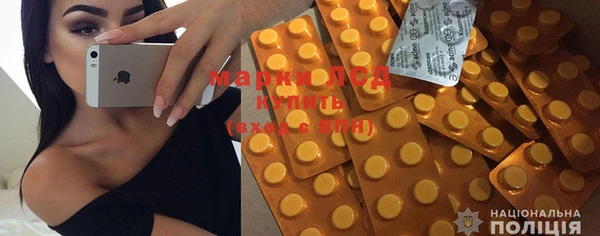 индика Кинешма
