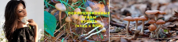 первитин Карпинск