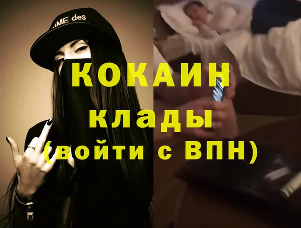 дживик Надым