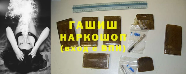 индика Кинешма