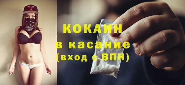 индика Кинешма