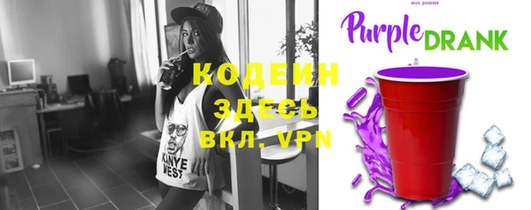 индика Кинешма