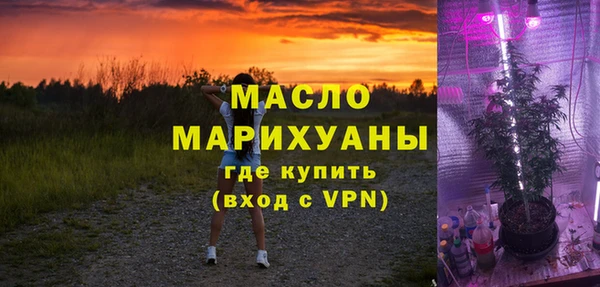 индика Кинешма