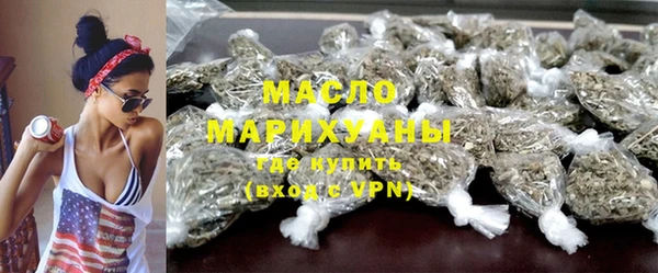 индика Кинешма
