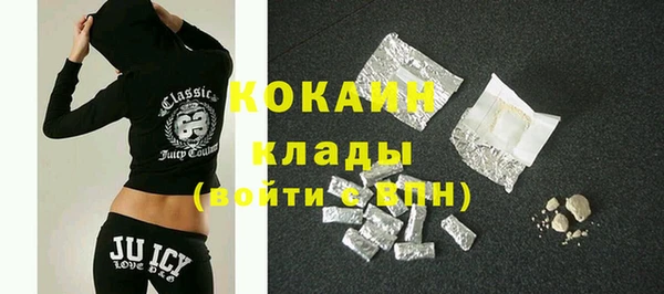 индика Кинешма