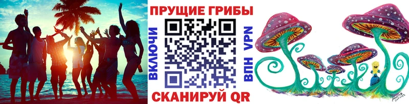 мега как зайти  Краснокамск  Псилоцибиновые грибы Psilocybe  купить  